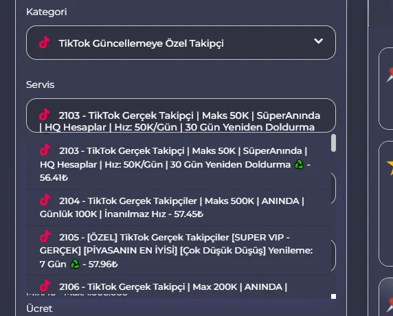 Opera Anlık Görüntü_2025-07-06_131112_netsmm.com.tr.webp