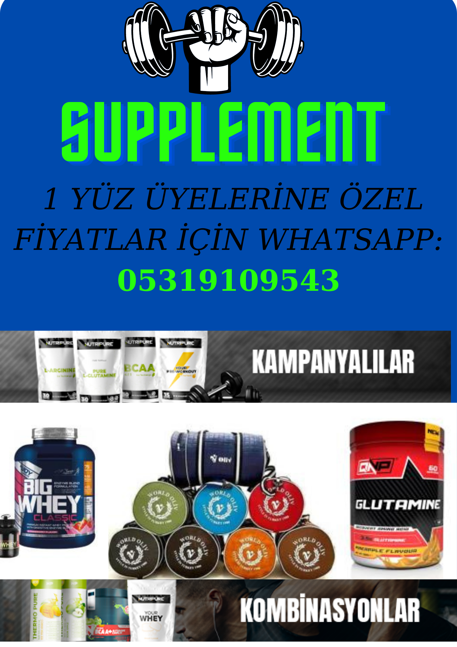 SUPPLEMENT (2).png