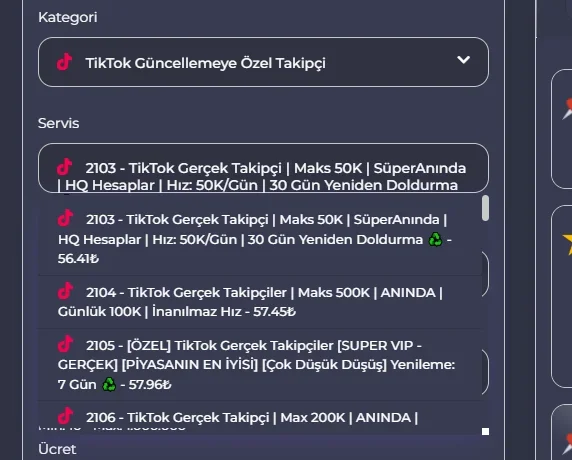Opera Anlık Görüntü_2025-07-06_131112_netsmm.com.tr.webp